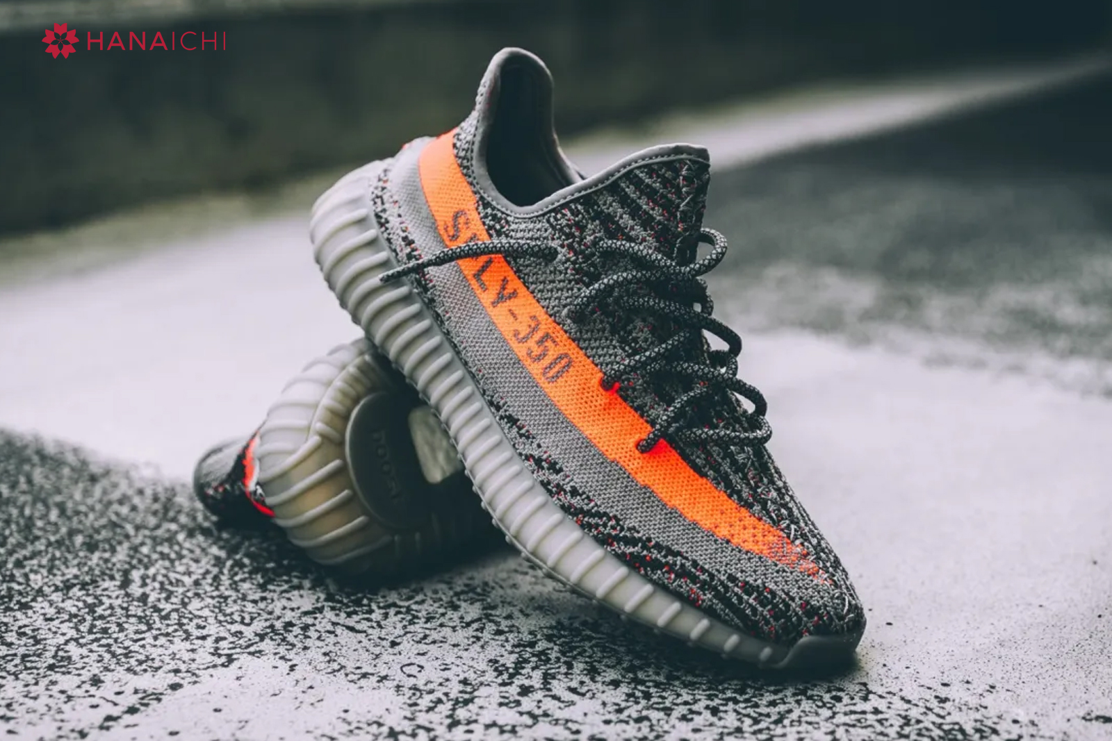 Giày Adidas Yeezy Boost 350