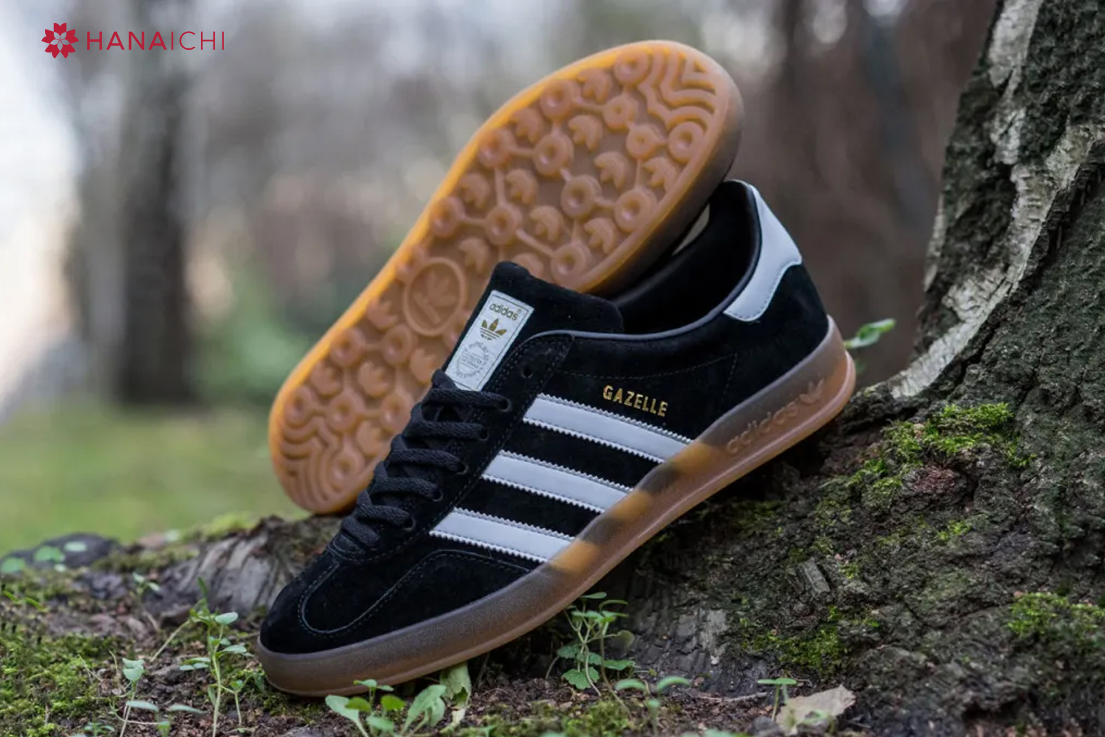 Adidas Originals Gazelle với vẻ ngoài tối giản nhưng được lòng nhiều thế hệ