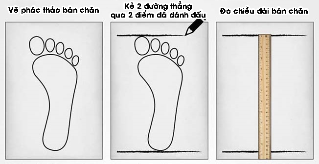 Các bước lấy số đo chiều dài bàn chân