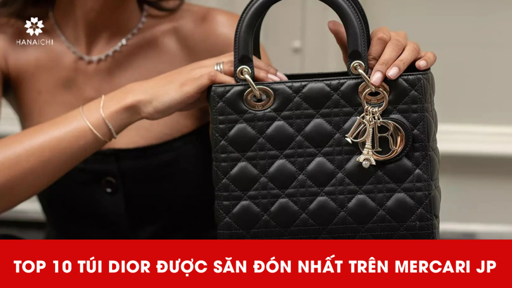 túi dior