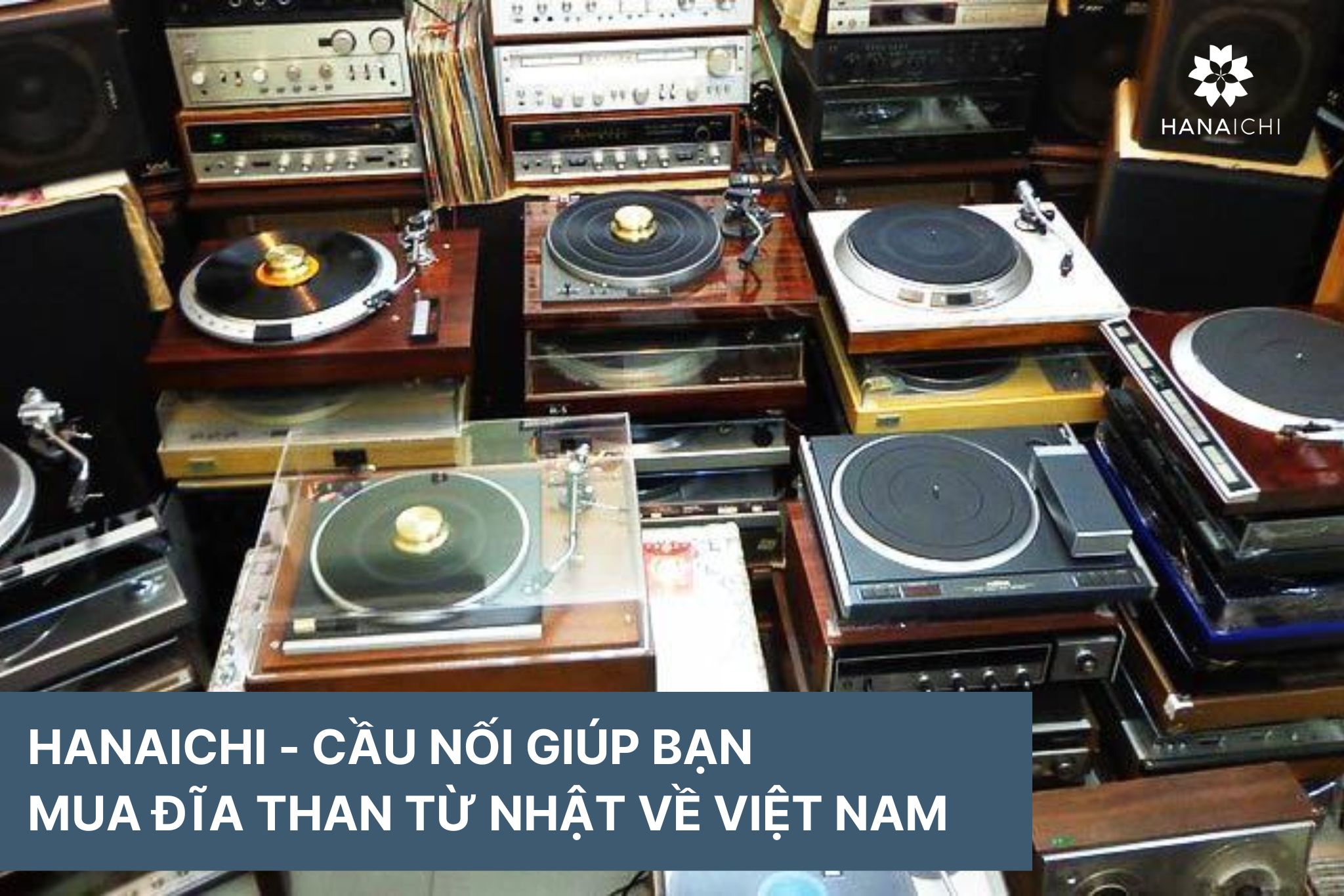 Mua đĩa than Nhật Bản ở đâu uy tín?