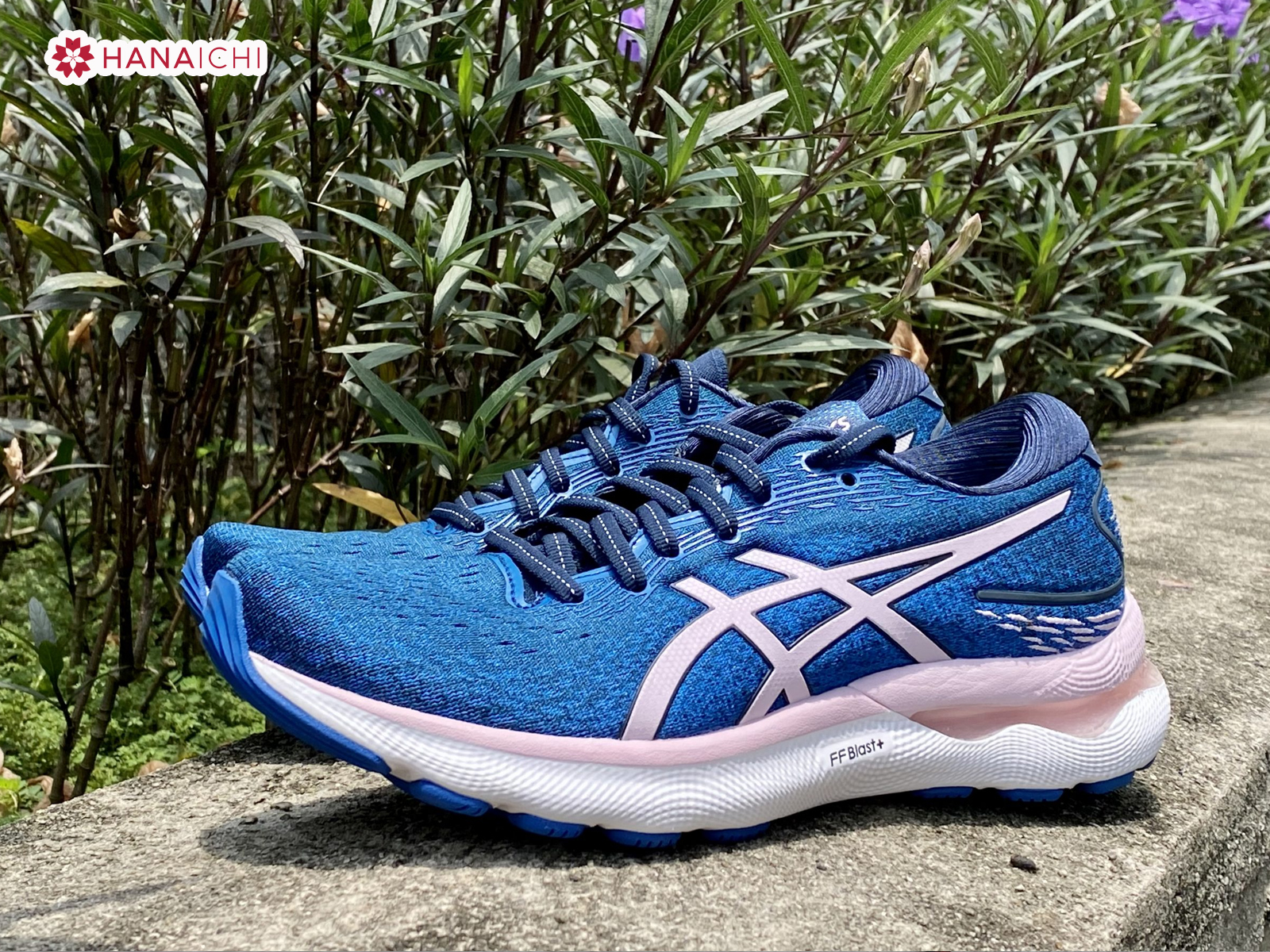 Giày chạy Asics Gel-Nimbus 24