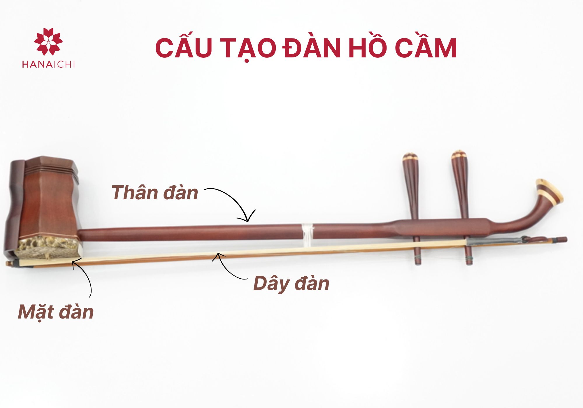 Cấu tạo đàn hồ cầm