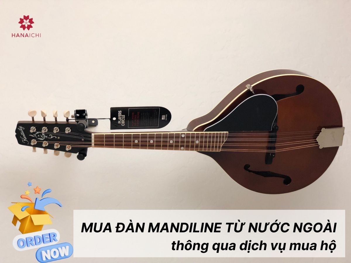 Mua đàn Mandolin từ nước ngoài qua dịch vụ mua hộ - Xu hướng mua sắm đang được thịnh hành hiện nay