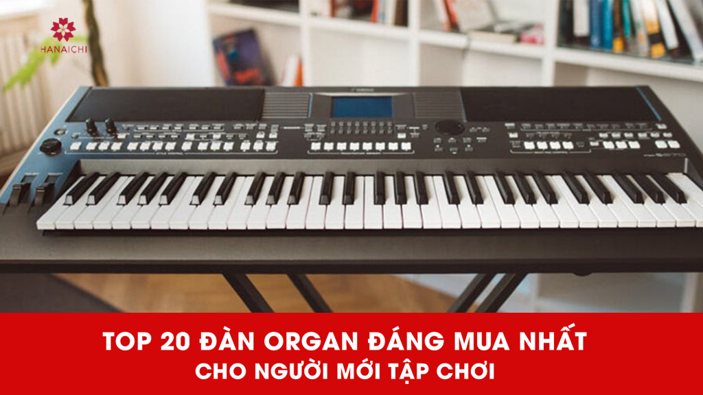 đàn organ