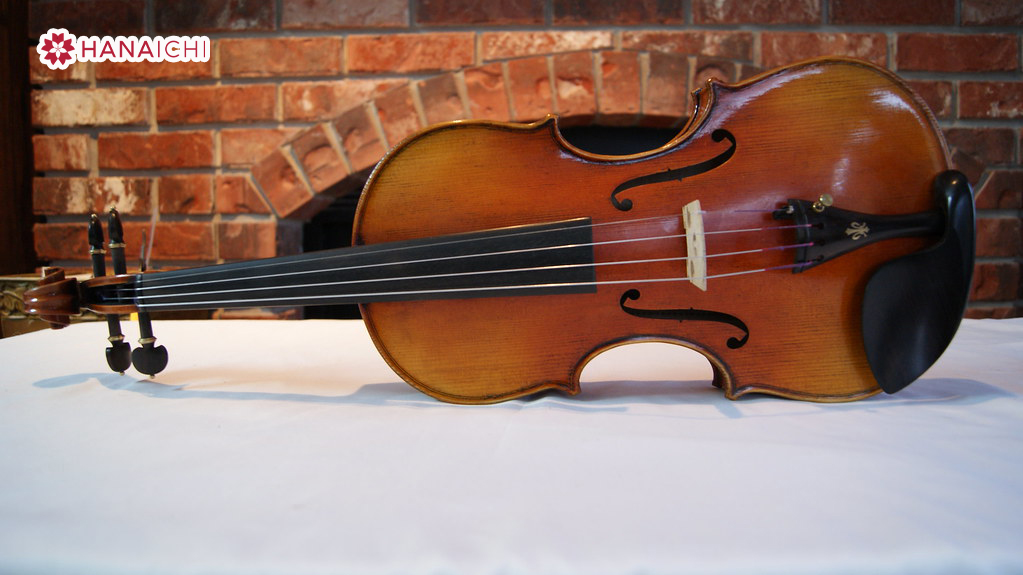 Maggini Violin