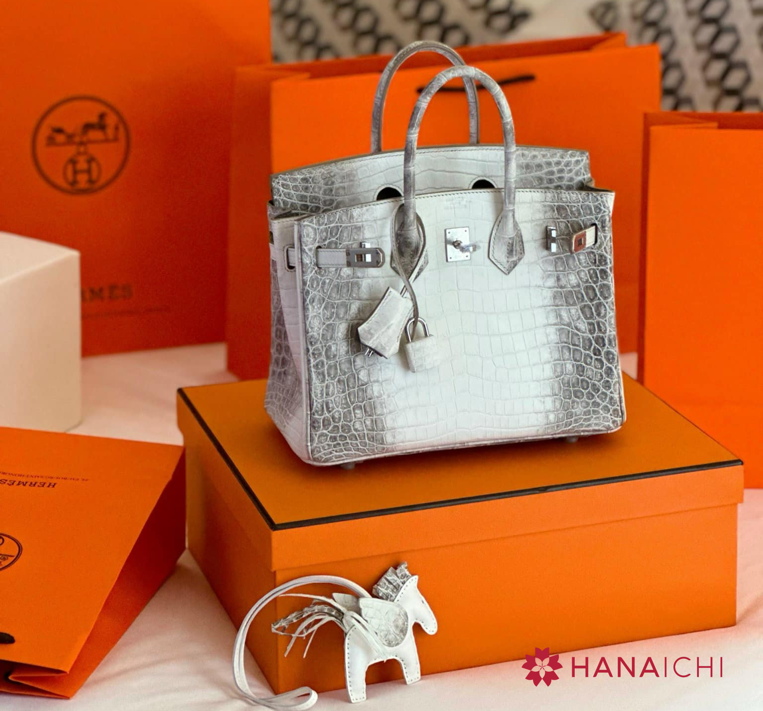 Mẫu túi Hermes Birkin Himalaya