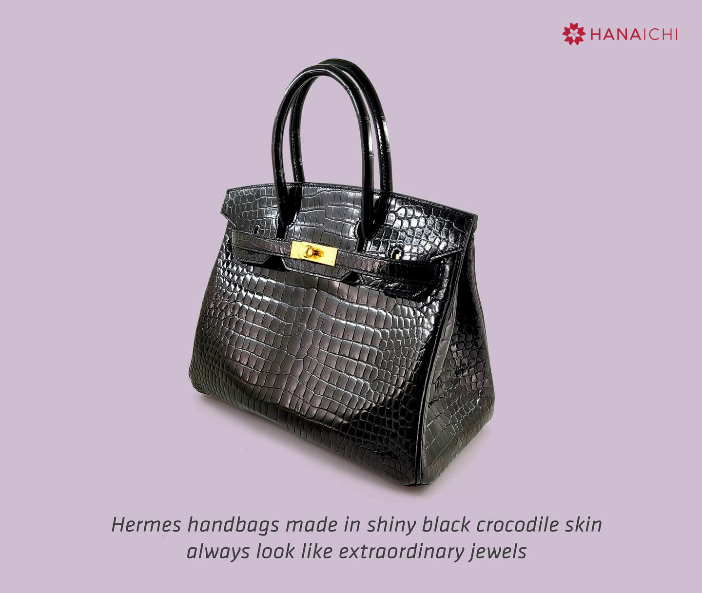 Mẫu túi Hermes Birkin Black Crocodile