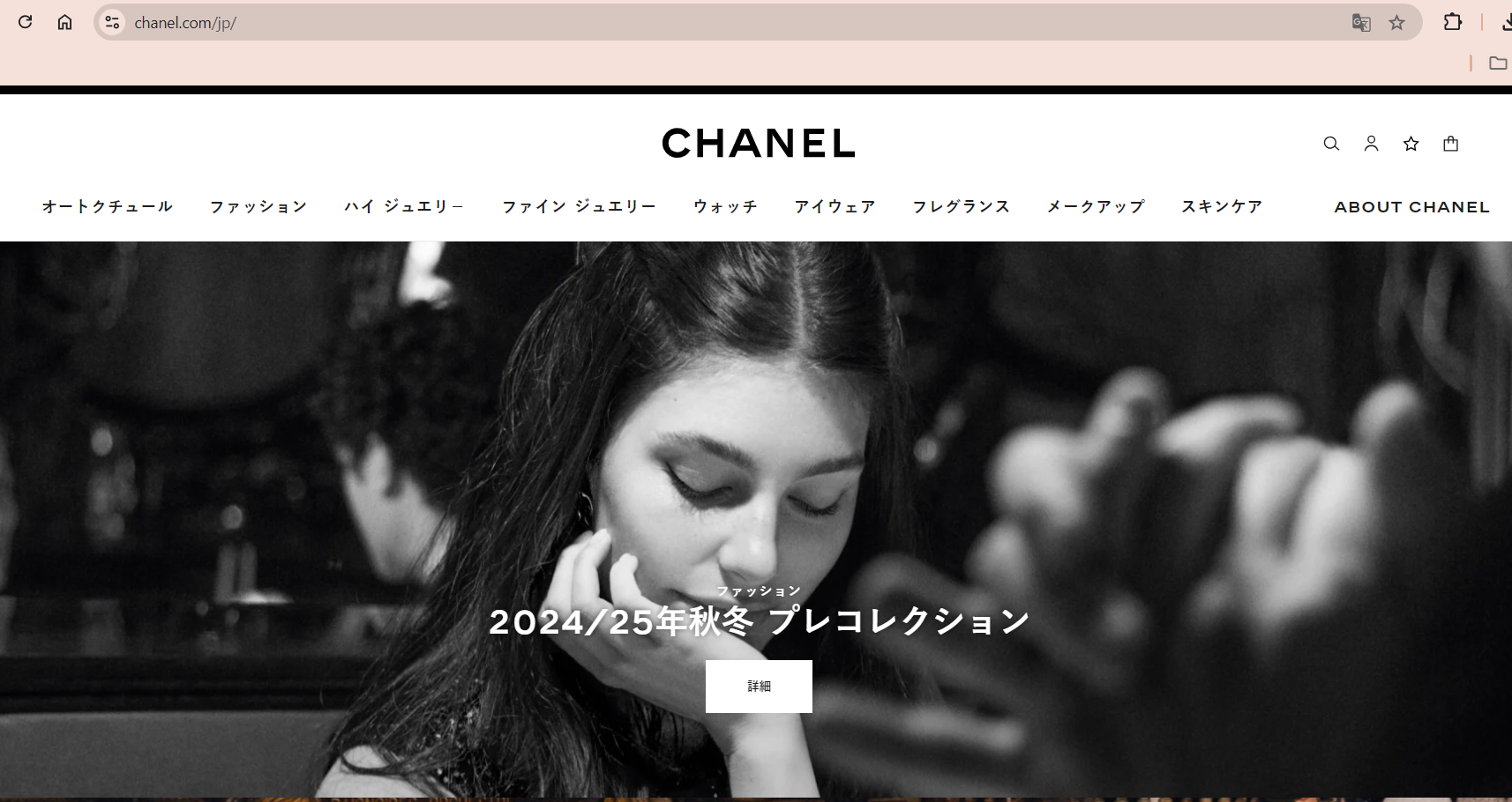 Mẫu túi Chanel 3