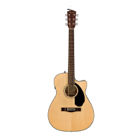 Guitar Acoustic