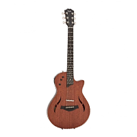 Guitar acoustic điện