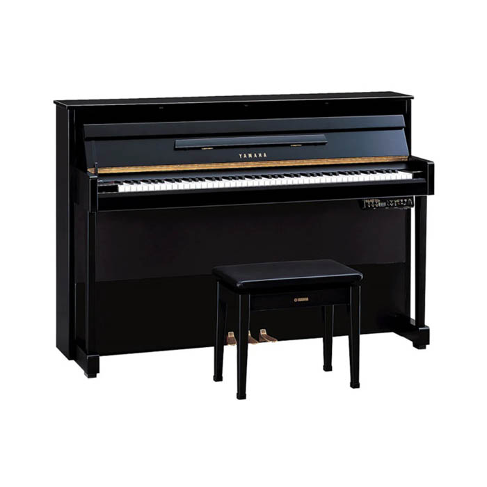 Biểu diễn sân khấu