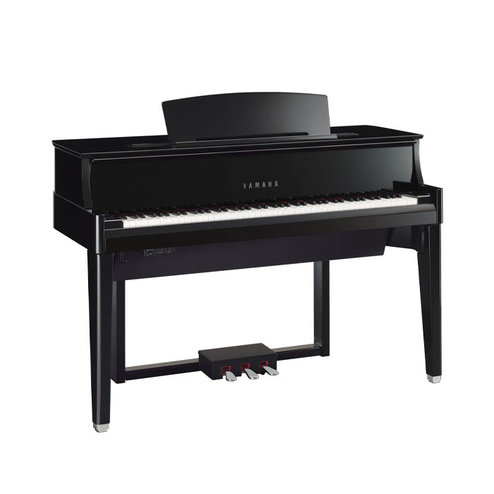 Nghệ sĩ, biểu diễn chuyên nghiệp