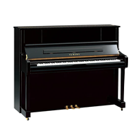 Upright Grand Piano