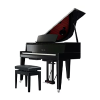 Hybrid Piano