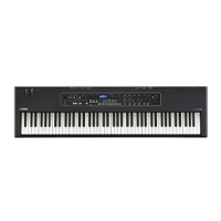 Stage Piano